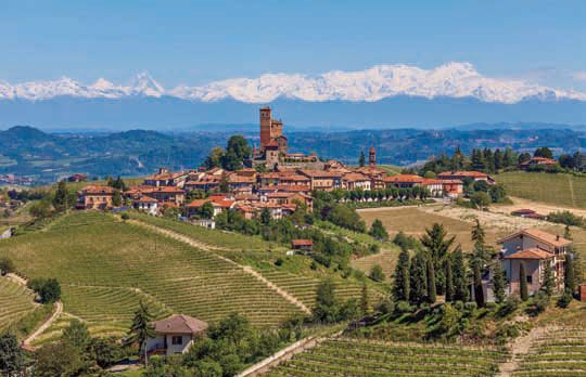 Piedmont Wine Countryside